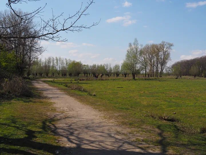 Kalkense Meersen (België)